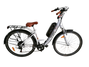 Renta E-Bike en Mahahual